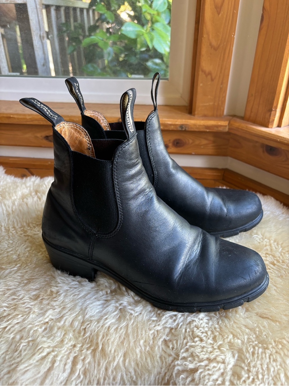 Blundstone Boots
